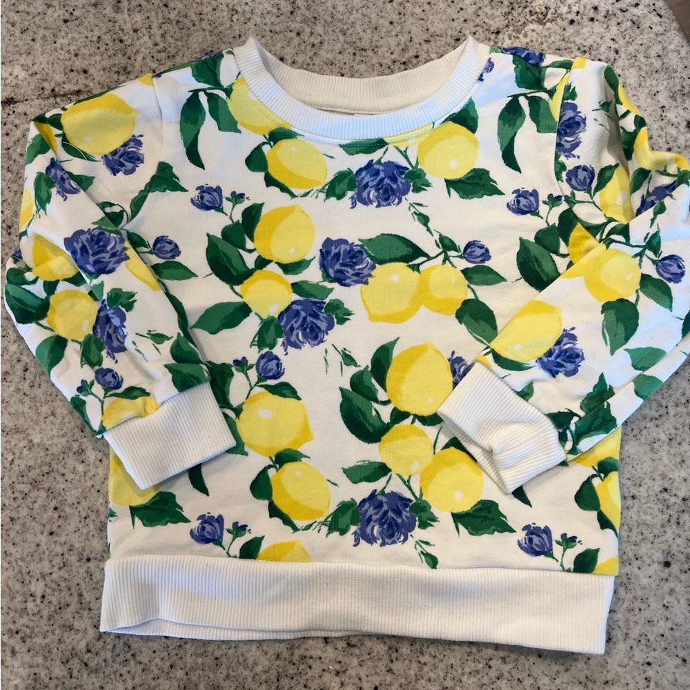 Janie and Jack Sweatshirt 12-18 months